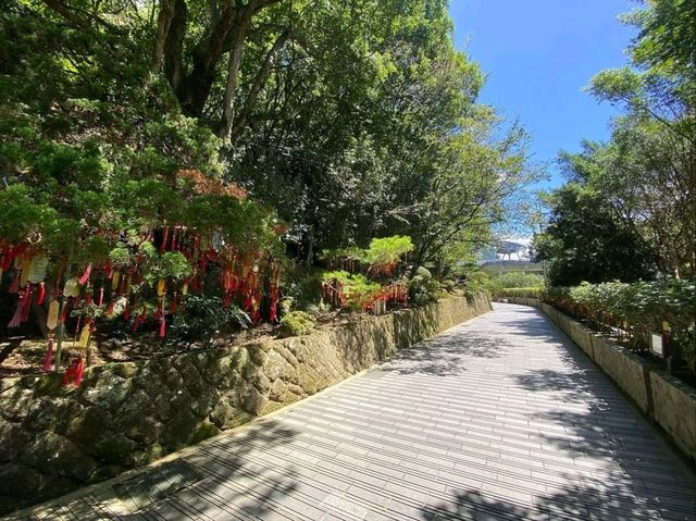 Zhangshu Trail in Wenshan, Chill Walks and Tree Vibes All Day