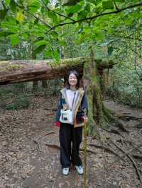เดินhikeที่กิ่วแม่ปาน