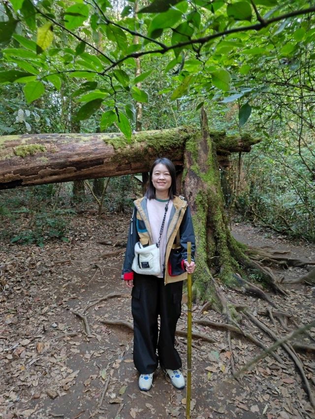 เดินhikeที่กิ่วแม่ปาน เดินhikeที่กิ่วแม่ปาน