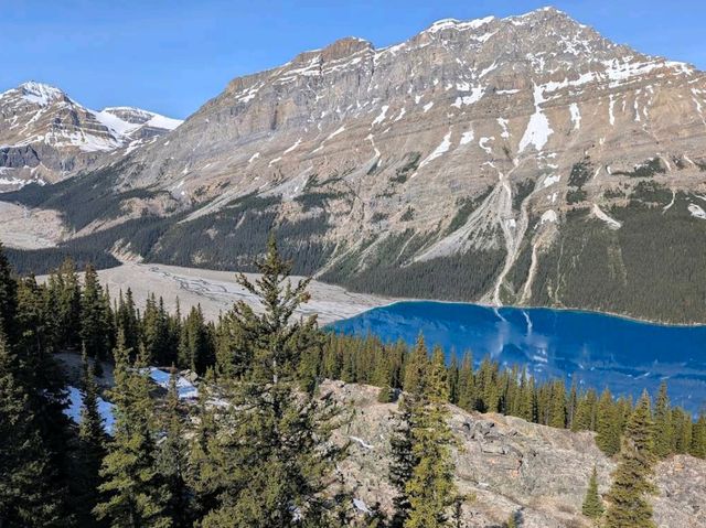Peyto Lake – “Canada’s Wolf-Shaped Wonder”