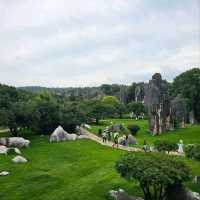 Getting Lost in the Wild Shapes of Shilin Stone Forest
