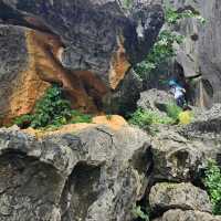 Getting Lost in the Wild Shapes of Shilin Stone Forest