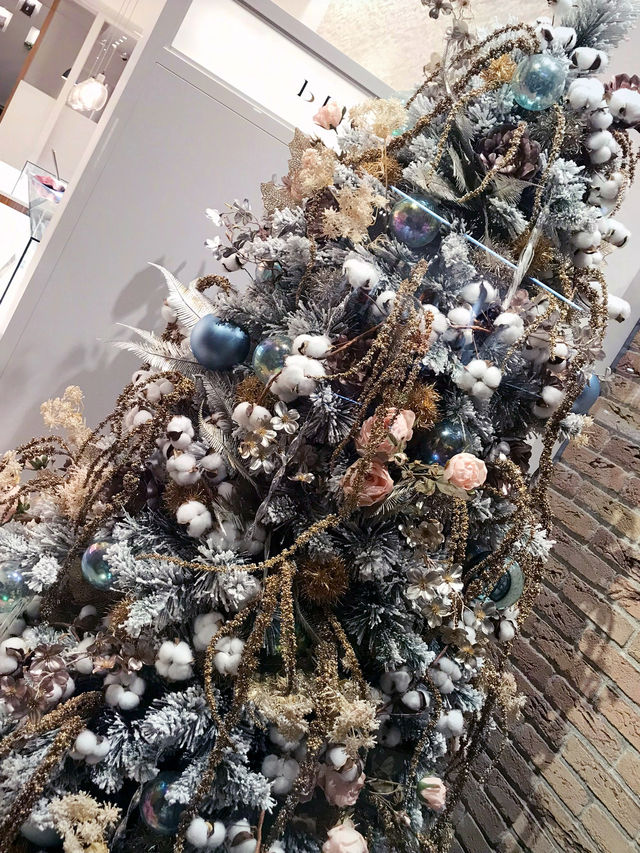 🎄横浜でFancyな元町中華街、みなとみらいクリスマス特別案内  🎄横浜でFancyな元町中華街、みなとみらいクリスマス特別案内