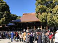 在城市森林中尋求心靈平靜：東京明治神宮遊記