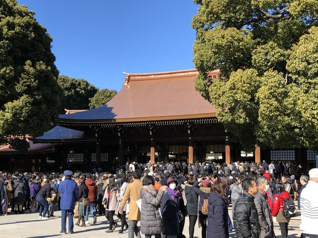 在城市森林中尋求心靈平靜：東京明治神宮遊記