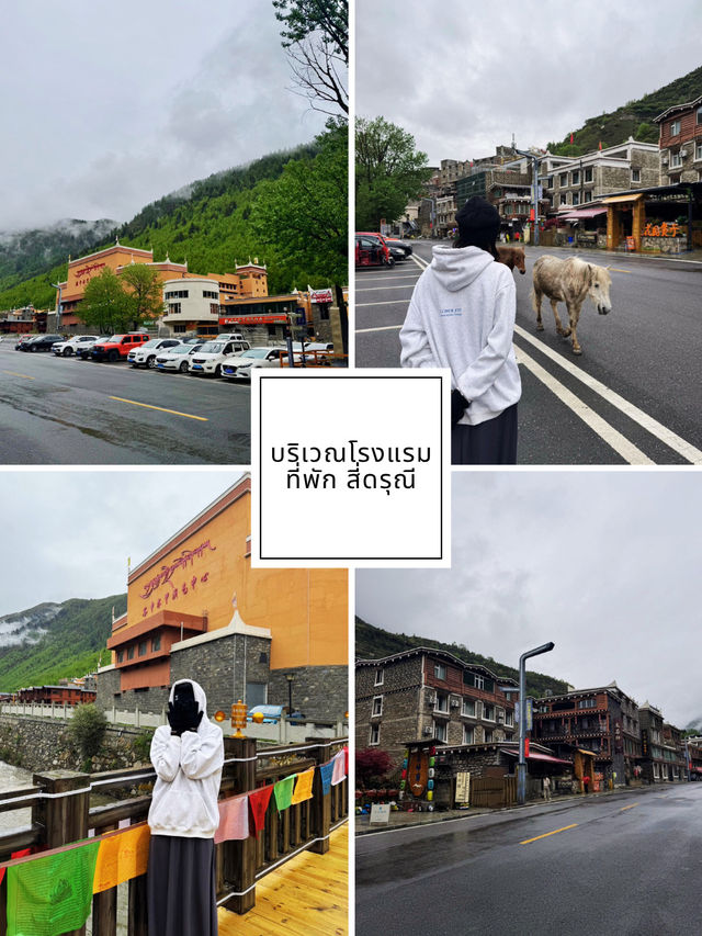  🚐แชร์วิธีเดินทางเดินไปภูเขา 4 ดรุณี ✨ด้วยตัวเอง