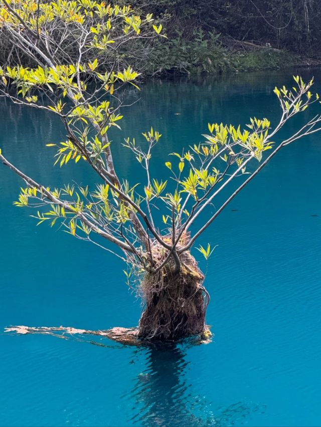 Not Just for Locals: Why International Tourists Flock to Xiaoqikong