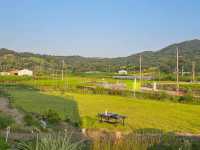 용인 히든 명소 동명서헌 북카페 거실