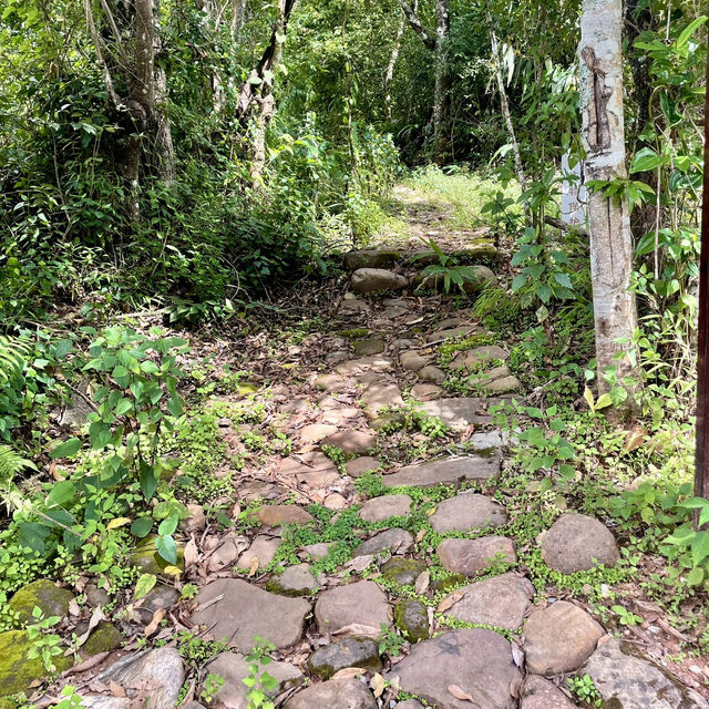 【中国 雲南省】🌿 プーアール 茶馬古道景区