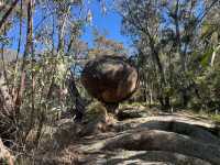 Girraween National Park (QLD)