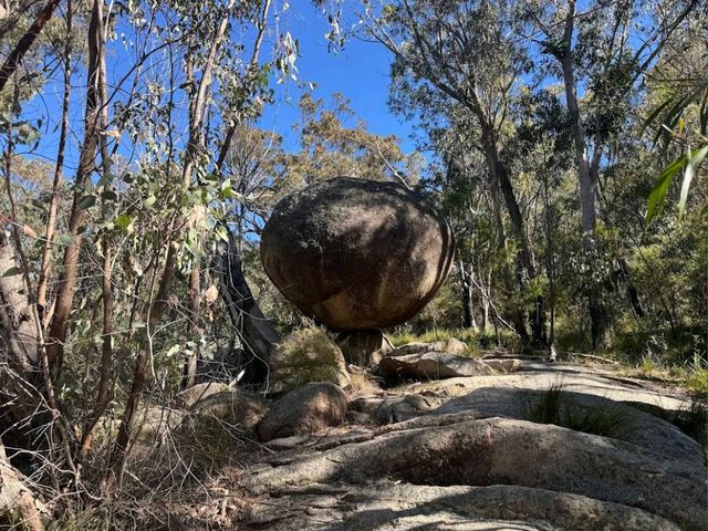 Girraween National Park (QLD)