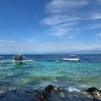 菲律賓宿霧 墨寶沙丁魚浮潛
