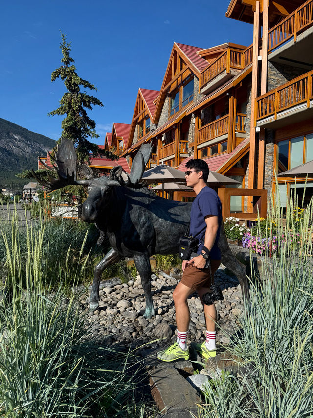 เที่ยวเมือง Banff Canada วิวสวยไร้ที่ติ เที่ยวเมือง Banff Canada วิวสวยไร้ที่ติ
