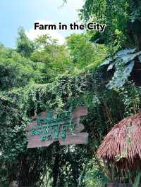 Farm in the City – Fun-Filled, Family-Friendly Zoo Adventure