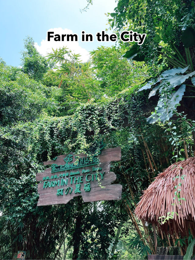 Farm in the City – Fun-Filled, Family-Friendly Zoo Adventure
