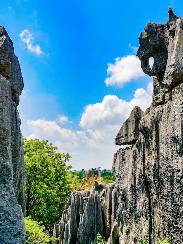 ✈️เที่ยวคุนหมิง Kunming |แพลน 3–4วัน ครบแลนด์มาร์ค