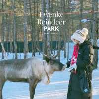 สวนกวางเรนเดียร์ โม่เหอ Ewenke Reindeer Park