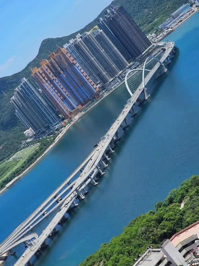 두 리듬의 다리: 크로스 베이 링크에서의 보행자의 산책