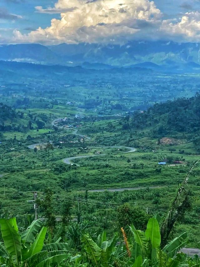 🌿Phnom Samkos Wildlife Sanctuary – Cambodia’s Hidden Wilderness 🌿