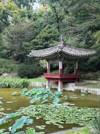 Changdeokgung Palace & Secret Garden (Seoul)