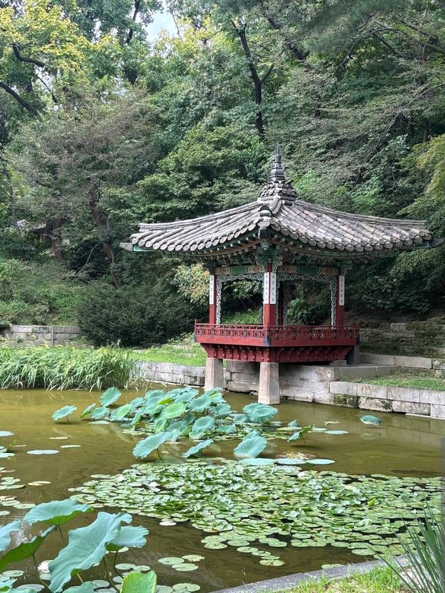 Changdeokgung Palace & Secret Garden (Seoul)