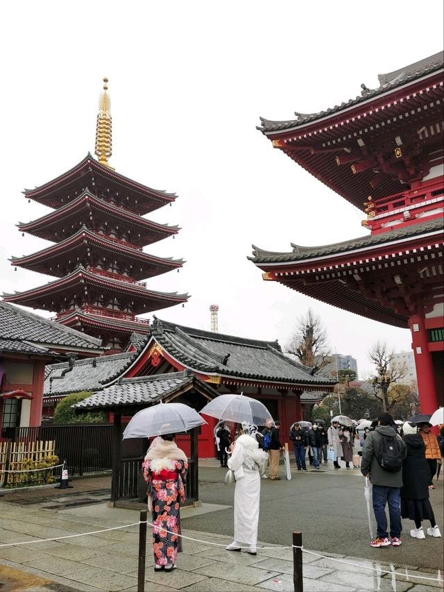 ⛩️Sensō-ji 浅草寺, History and Cultural Significance 🇯🇵
