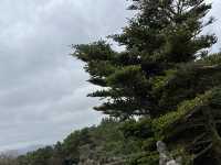 รีวิวเที่ยว "ซังกึมบูรี" (산굼부리) ที่เกาะเชจู