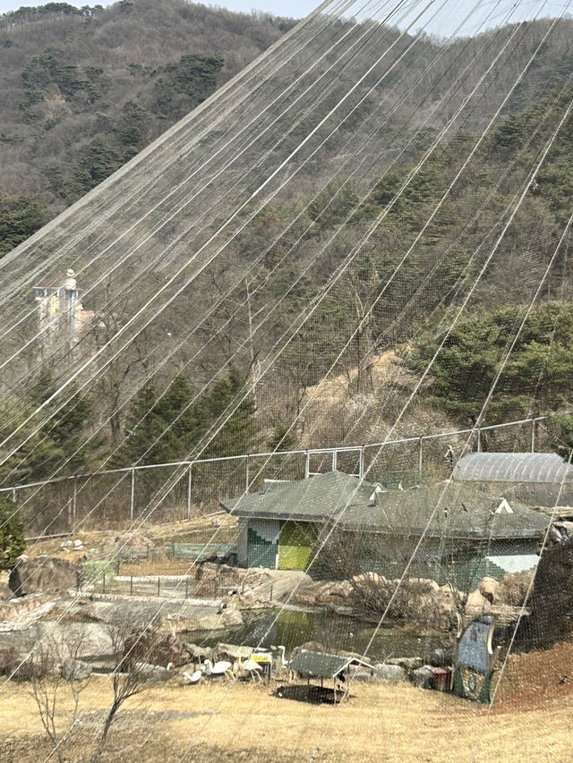 청주랜드 동물원 다녀온 후기