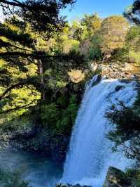 Rainbow Falls – Majestic Waterfall Retreat in New Zealand