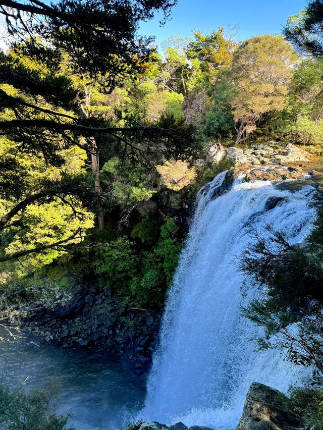 Rainbow Falls – Majestic Waterfall Retreat in New Zealand Rainbow Falls – Majestic Waterfall Retreat in New Zealand