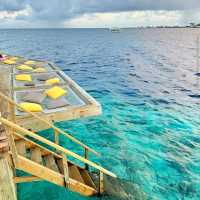 Soneva Fushi