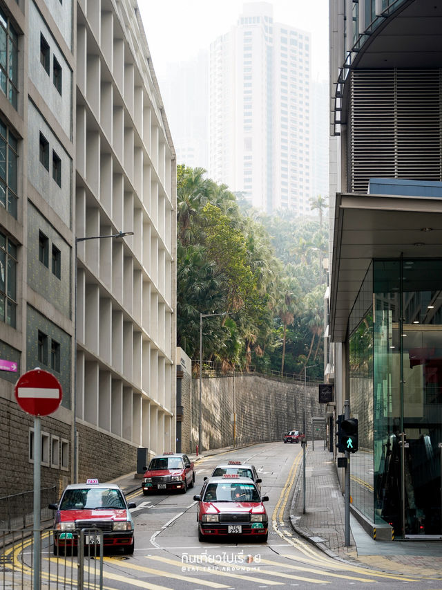เดินเที่ยวถ่ายรูปที่ย่าน Central แบบไม่มีเบื่อ