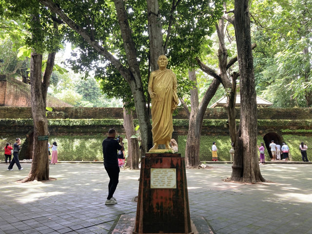 เที่ยว “วัดอุโมงค์” ฟิลฤดูฝน เขียวชื่นใจ  เที่ยว “วัดอุโมงค์” ฟิลฤดูฝน เขียวชื่นใจ