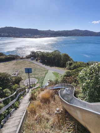 Nature’s Canvas: Exploring New Zealand’s Living Landscapes 
