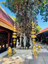 A Stunning Display of Cambodian Culture