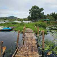 🚣พายแคนูชมวิว ที่สวนพฤกษศาสตร์ระยอง 🚣