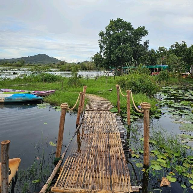🚣พายแคนูชมวิว ที่สวนพฤกษศาสตร์ระยอง 🚣
