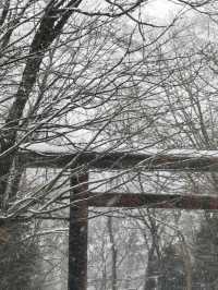 พาไปลุยหิมะที่ Hokkaido Jingu