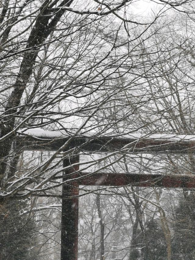 พาไปลุยหิมะที่ Hokkaido Jingu พาไปลุยหิมะที่ Hokkaido Jingu