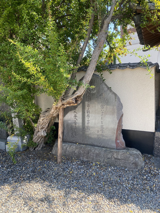 【東京都入谷🇯🇵 入谷鬼子母神】安産、子育ての神様へ☺️