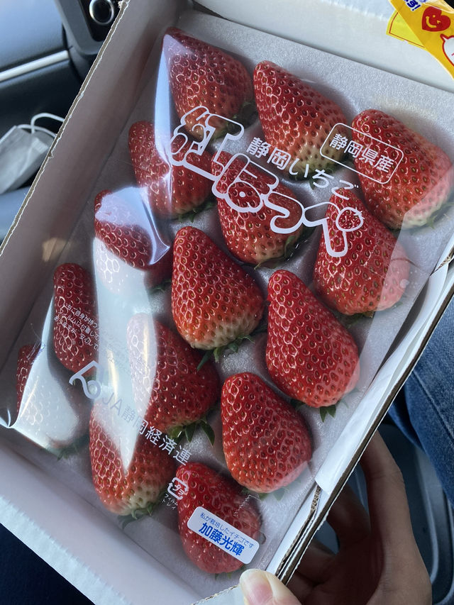 altTitle