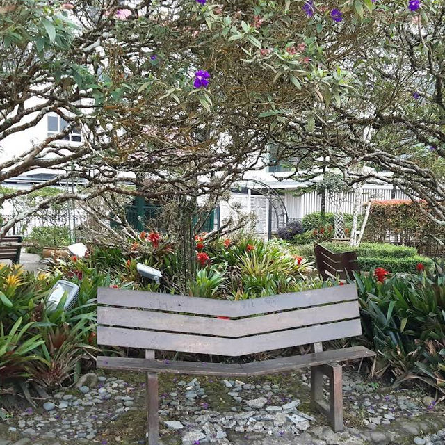 Talking Garden @ SkyAvenue Genting – Whispering Leaves & Interactive Green Spaces