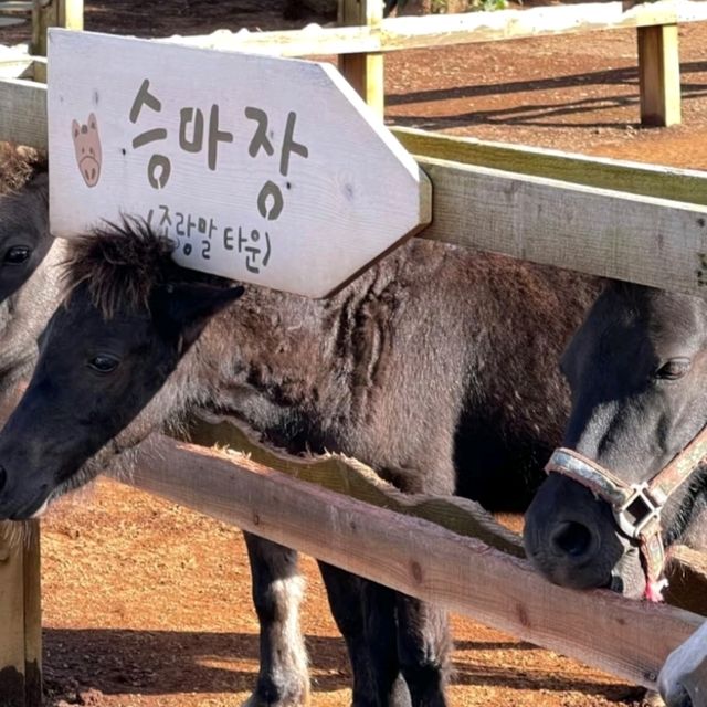 墾丁春天音樂季！單車漫遊+沙灘接力賽