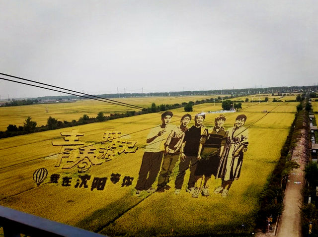 瀋陽稻夢空間🇨🇳