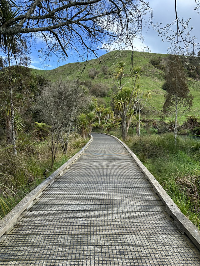 【𝐍𝐞𝐰 𝐙𝐞𝐚𝐥𝐚𝐧𝐝】北島巡り BlueSpring