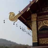 อุทยานหลวงราชพฤกษ์ จ.เชียงใหม่ คนรักดอกไม้ห้ามพลาด