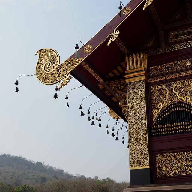 อุทยานหลวงราชพฤกษ์ จ.เชียงใหม่ คนรักดอกไม้ห้ามพลาด