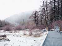 Exploring Yading Nature Reserve