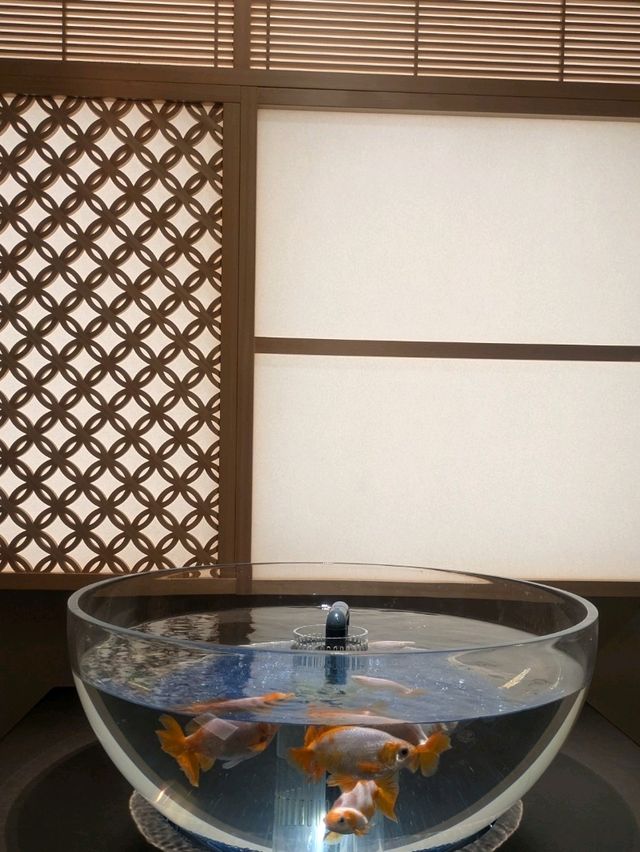【神戸の水族館】水族館の年パス買うならココでしょ！