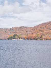 【穴場の紅葉】観光攻略付‼️赤城山で最も雄大な紅葉と水鏡の絶景を楽しむ🌊 🍁⛩️✨